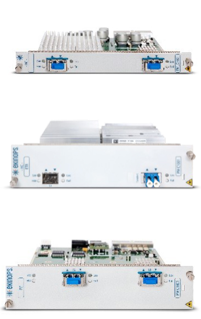 10GE и 16G Fiber Channel транспорт